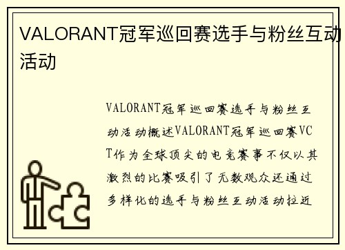 VALORANT冠军巡回赛选手与粉丝互动活动