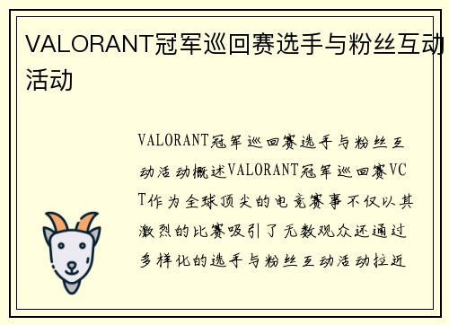 VALORANT冠军巡回赛选手与粉丝互动活动